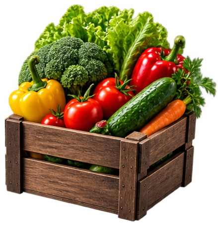 Crate of fresh vegetables